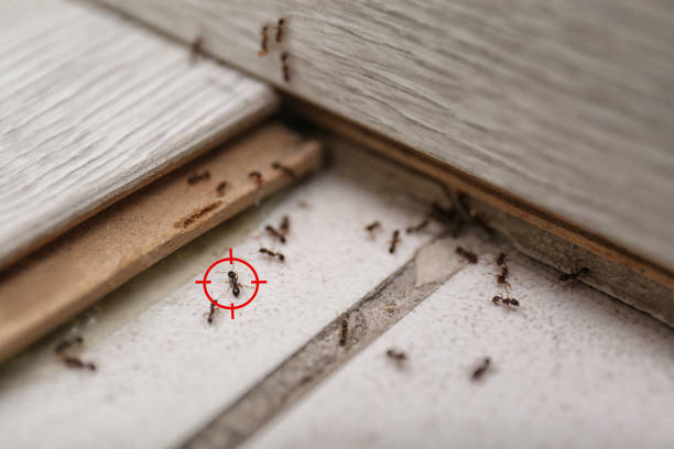 Pest Control Cost in Long Neck, DE