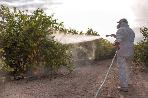 Best Insect Control  in Long Neck, DE